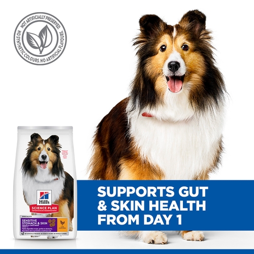 Hill's Science Plan - Canine Adult Sensitive Stomach & Skin