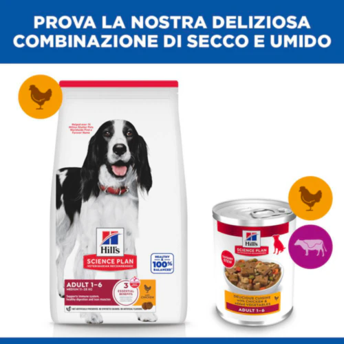 Hill's Science Plan - Adult - Spezzatino - Pollo