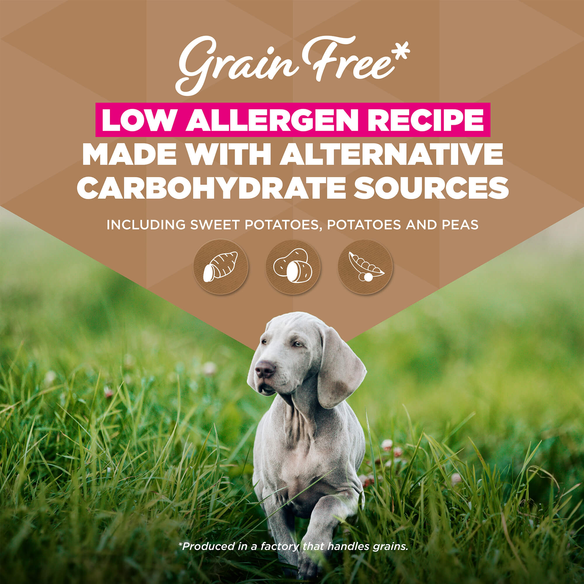 Eukanuba Dog Junior Large Grain-free Dog Food