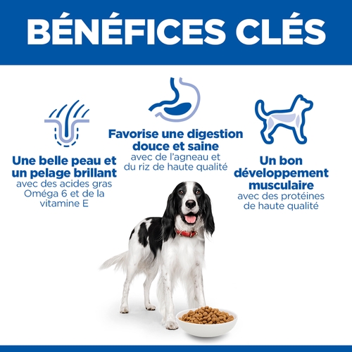 Hill's Science Plan Medium - Adulte - Agneau & Riz