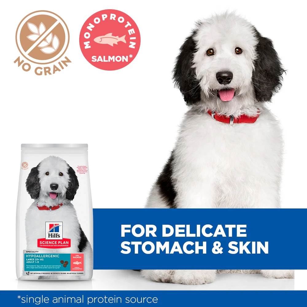Hill's Science Plan Hypoallergenic Adult Large Dog - Salmon
