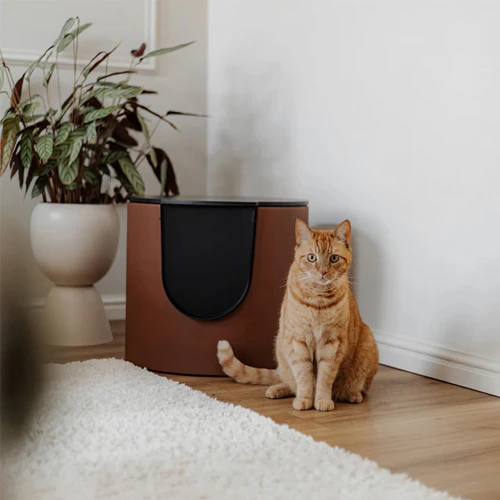 District 70 Fuse Design Cat Litter Box
