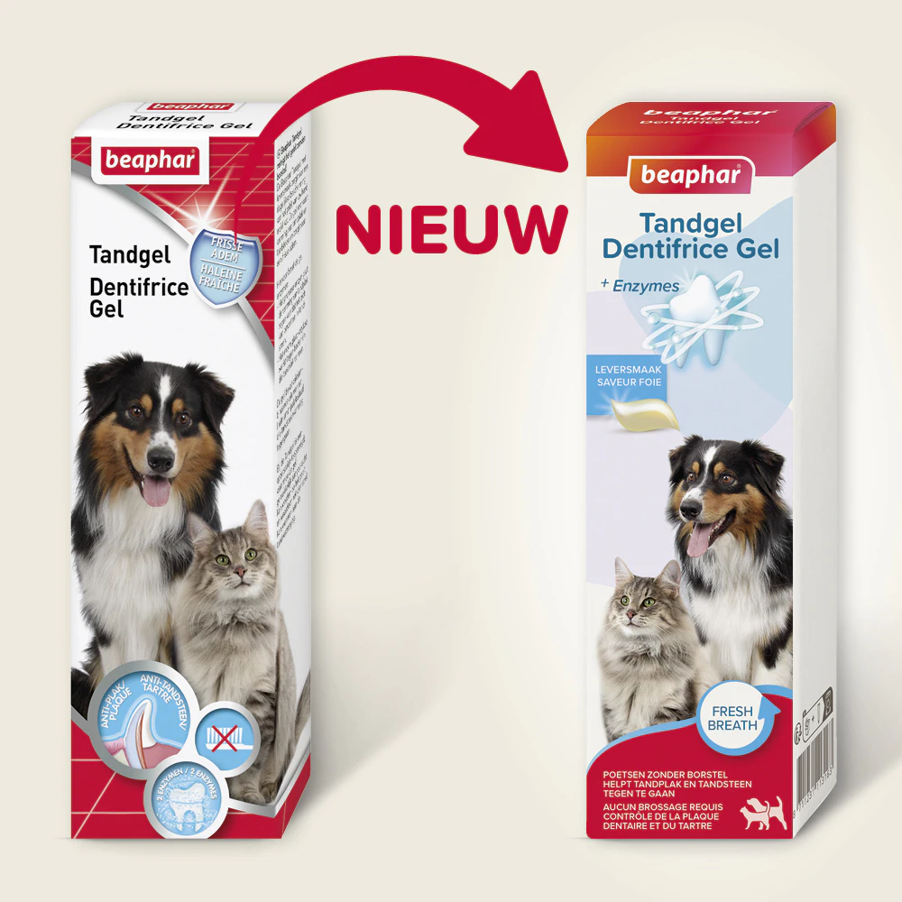 Beaphar Gel Dentaire pour Chien et Chat