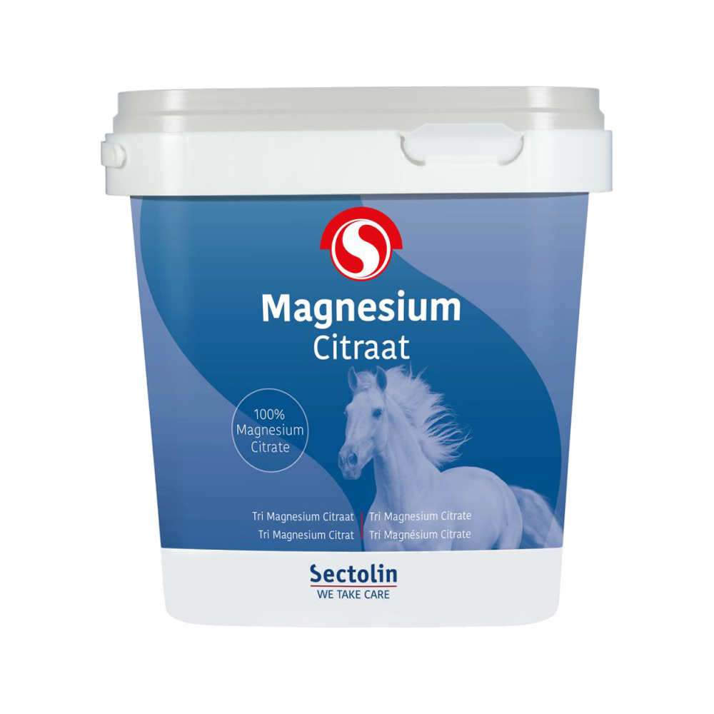 Sectolin Equivital Magnesium