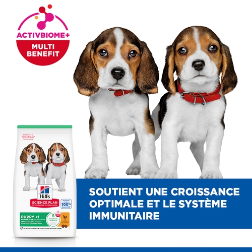 Hill's Science Plan - Puppy - Medium - Poulet