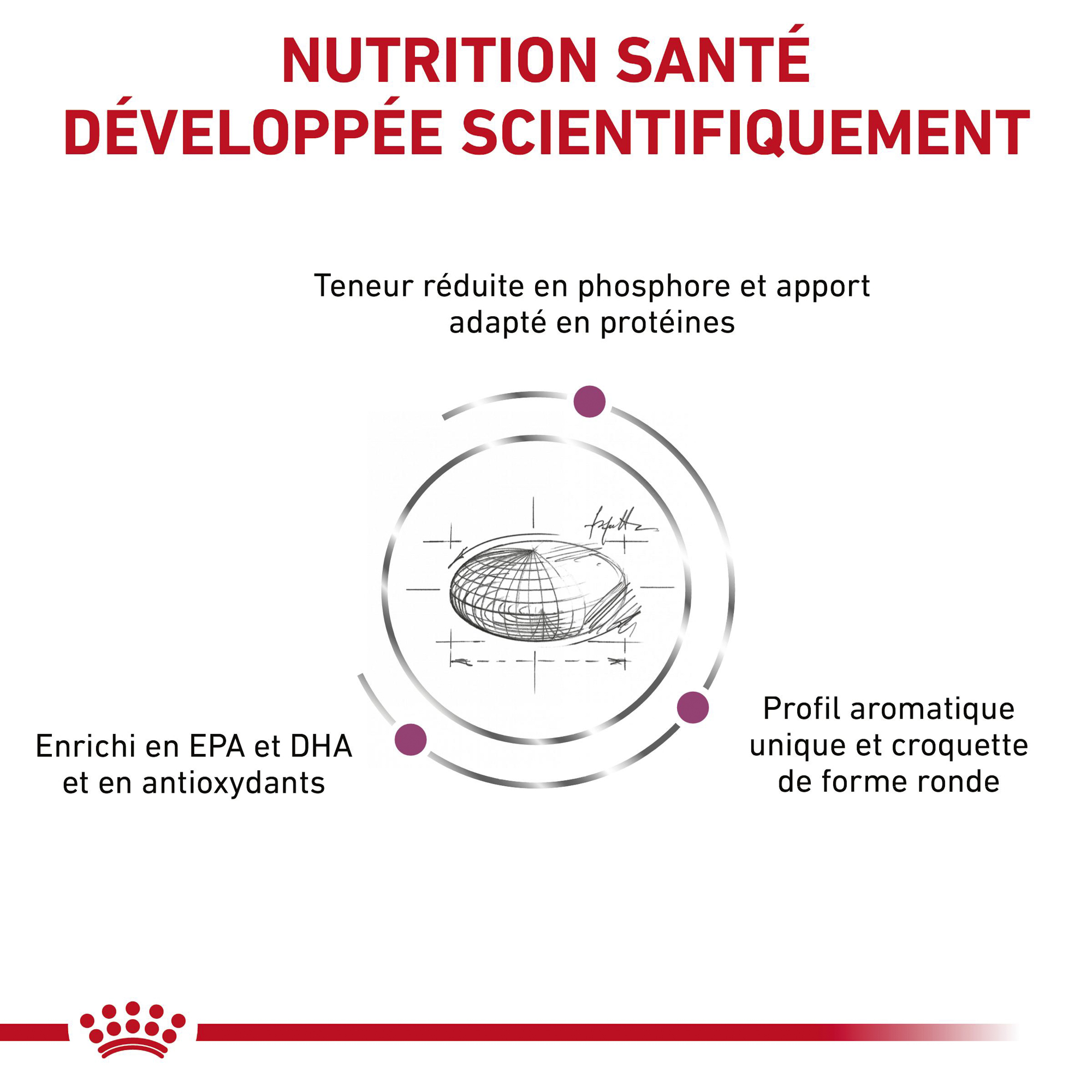 Royal Canin Rénal Chat