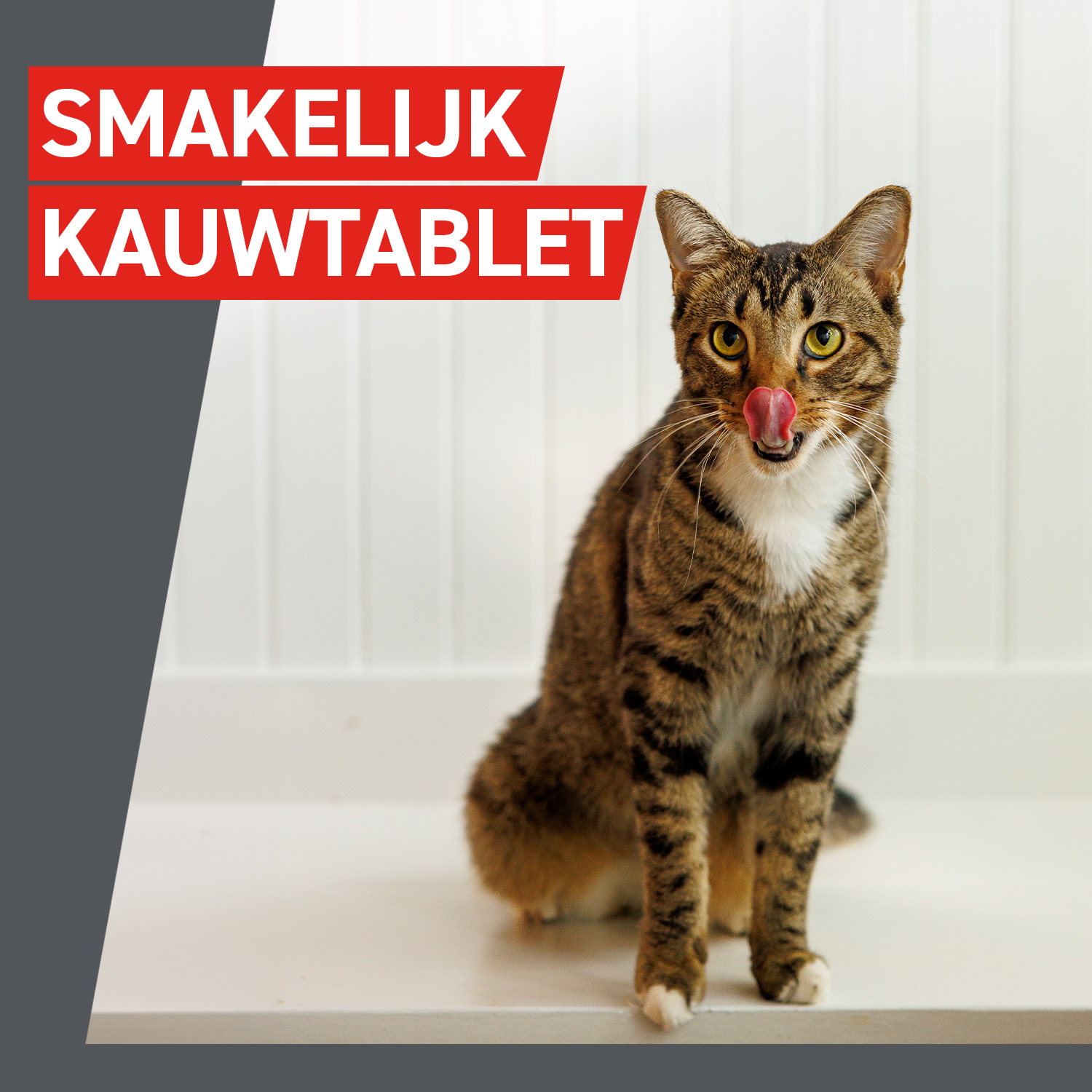 Frontcontrol Wormer Kat