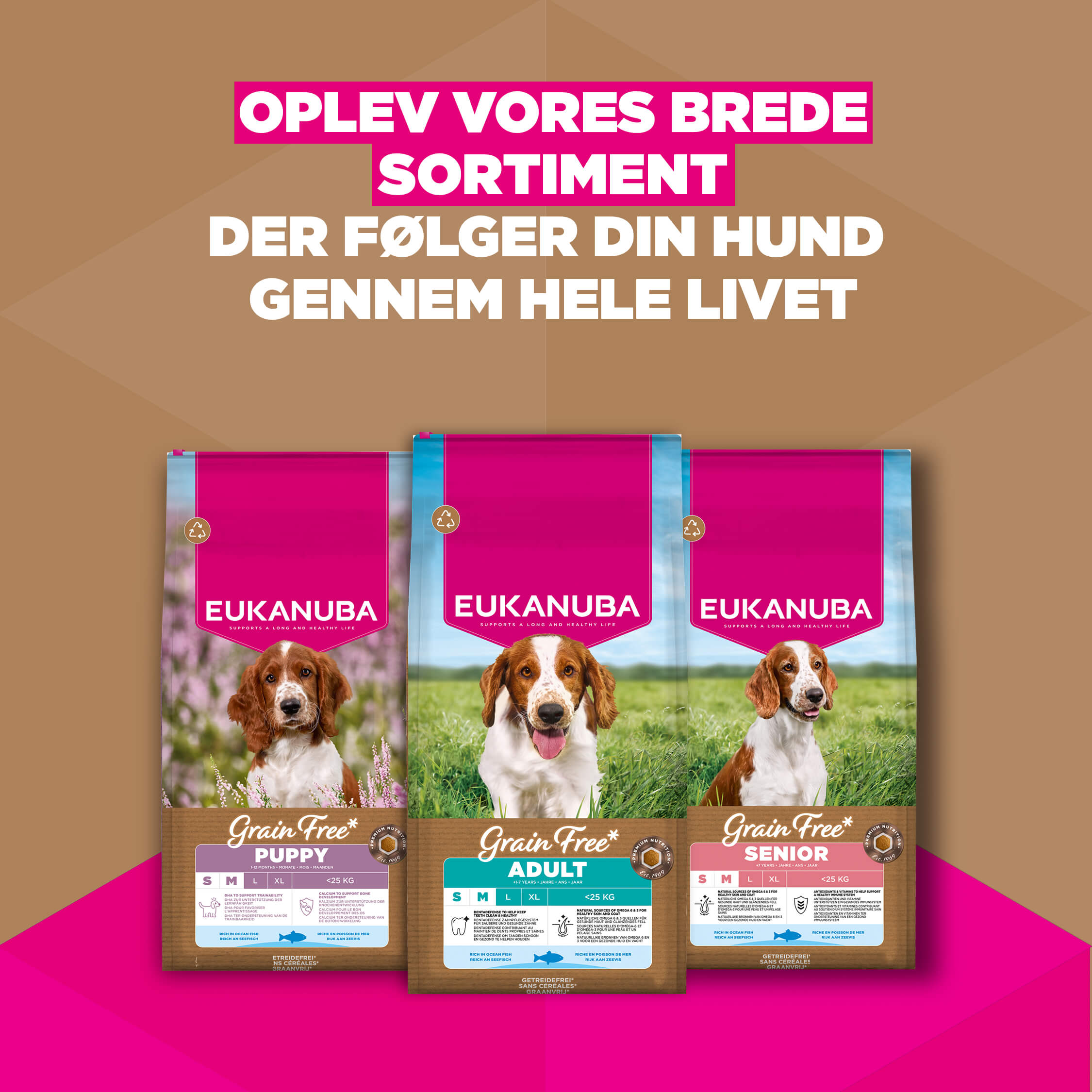 Eukanuba Dog Puppy Small/Medium Grainfree Hundefoder