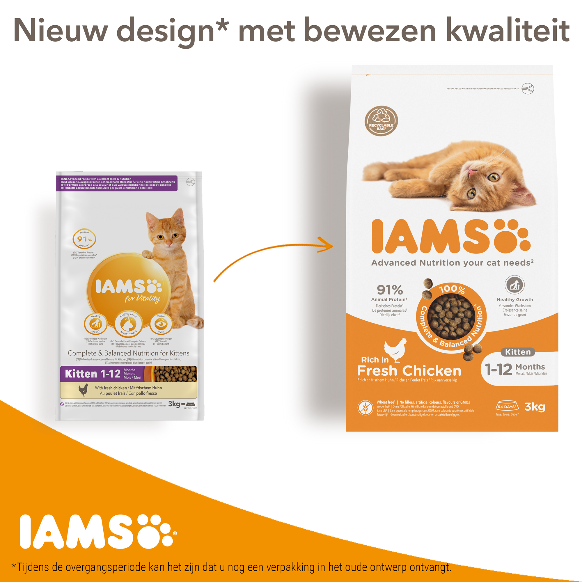 Iams kitten 2025 & junior