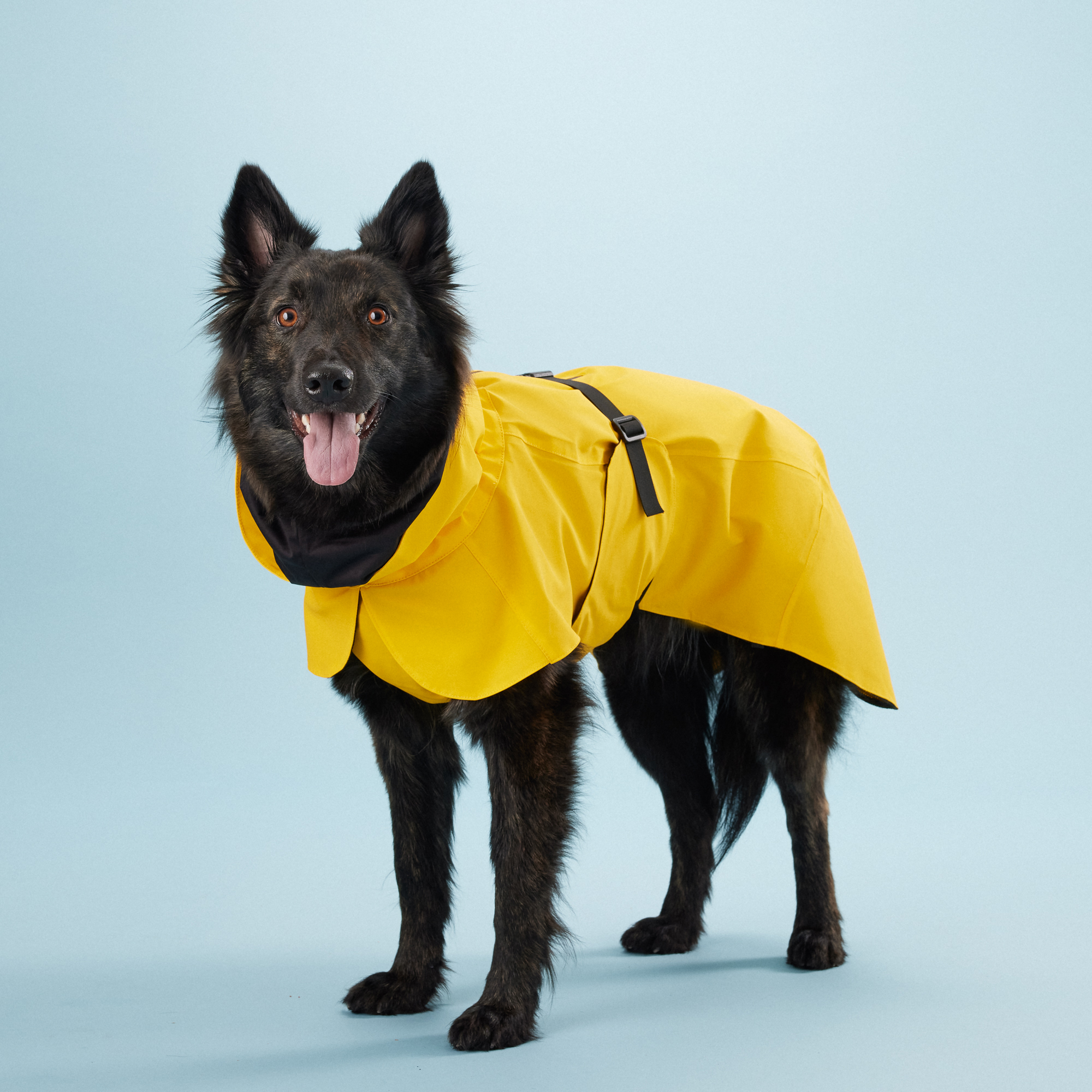 PAIKKA Visibility Raincoat Lite Yellow I Order Vetsend