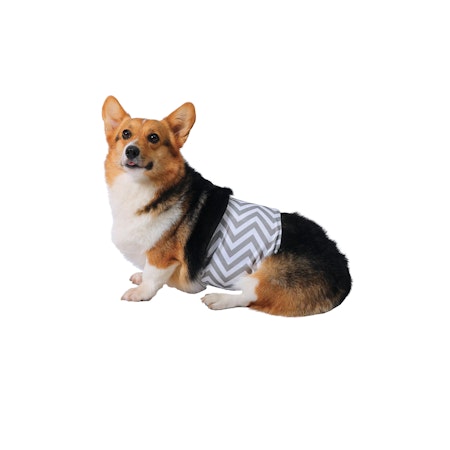 LeerKing Wasbare Hondenluiers Voor Reuen - Incontinentie Luier Voor Hond, Kat Of Puppy - Maat M (34.5-38 Cm)