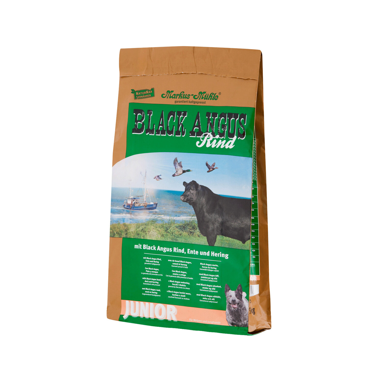 Black hotsell angus dog