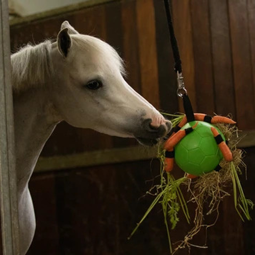 Horse play ball clearance