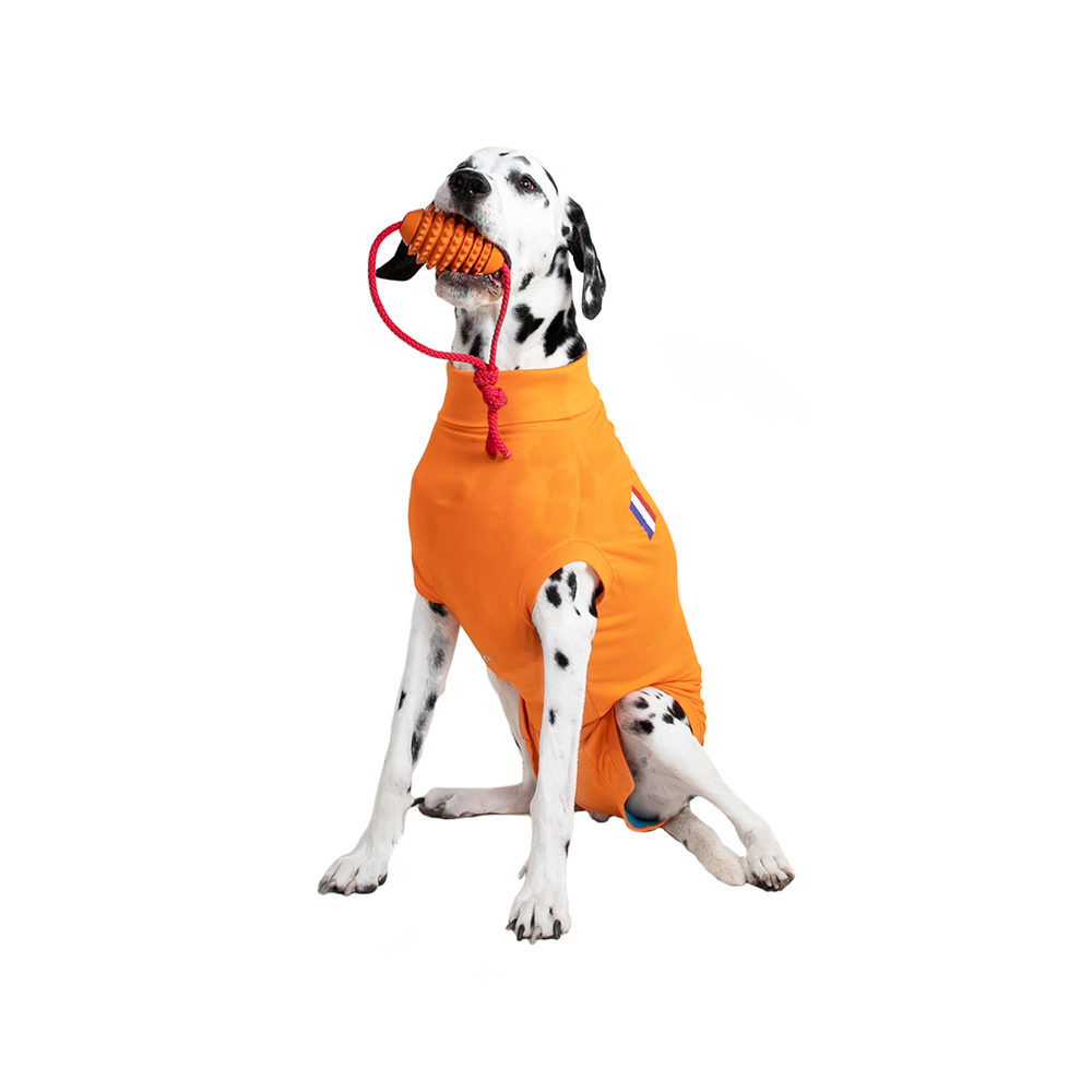 Medical Pet Shirt Hond Naranja - M Plus
