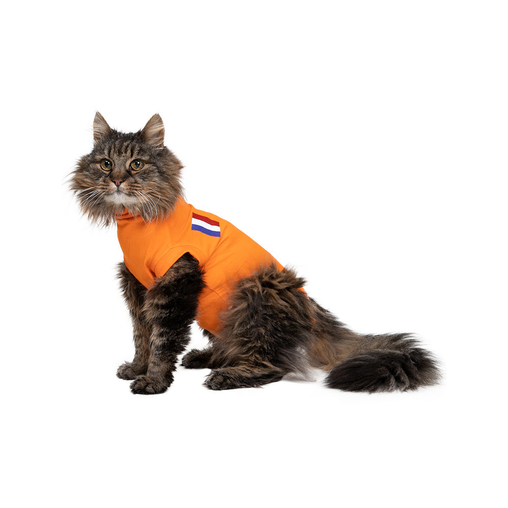 Medical Pet Shirt Kat Oranje Bestellen Medpets