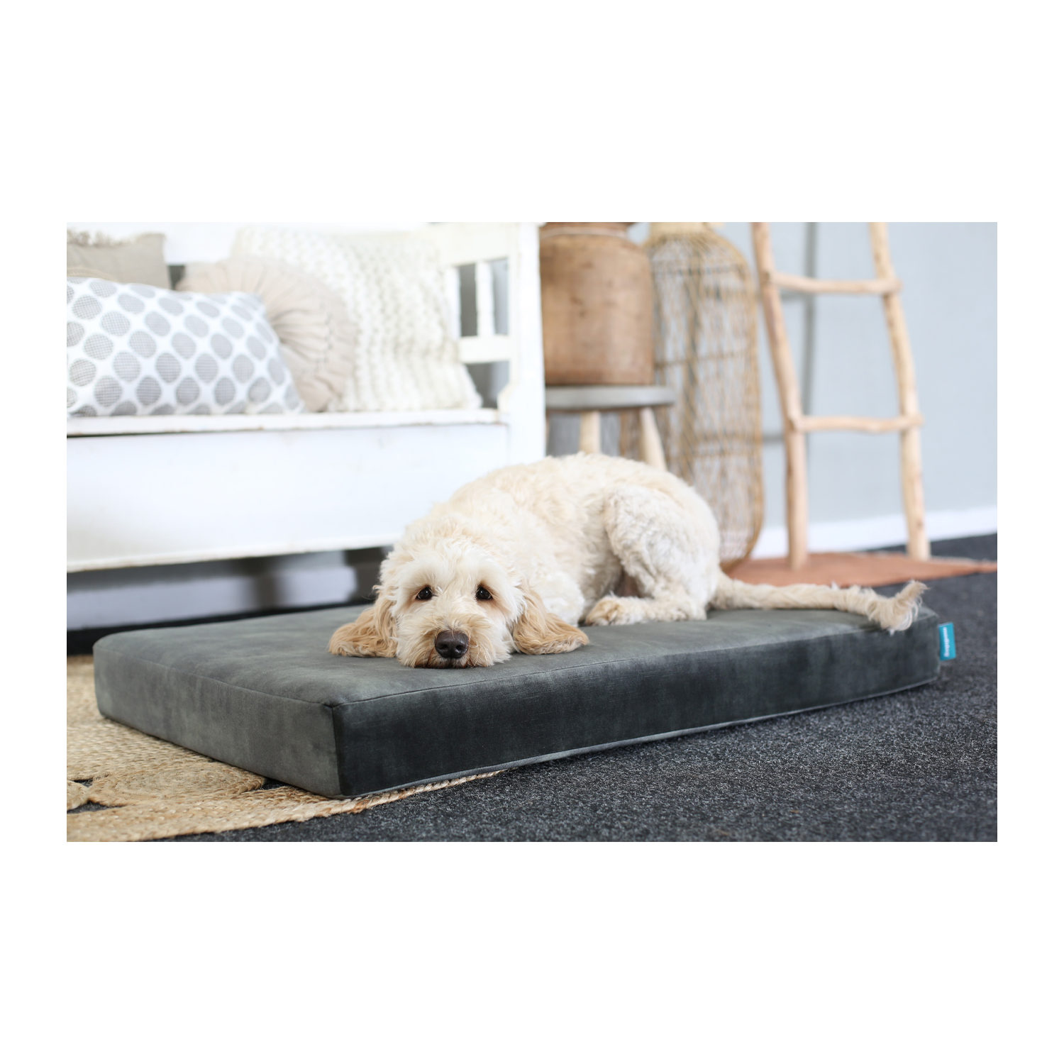 Medidog Orthopädisches Hundekissen Lederlook