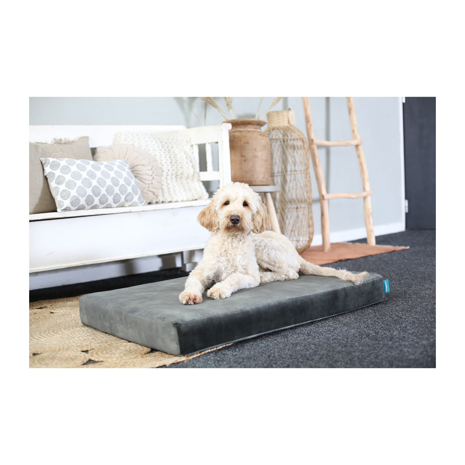 Medidog Orthopädisches Hundekissen Lederlook