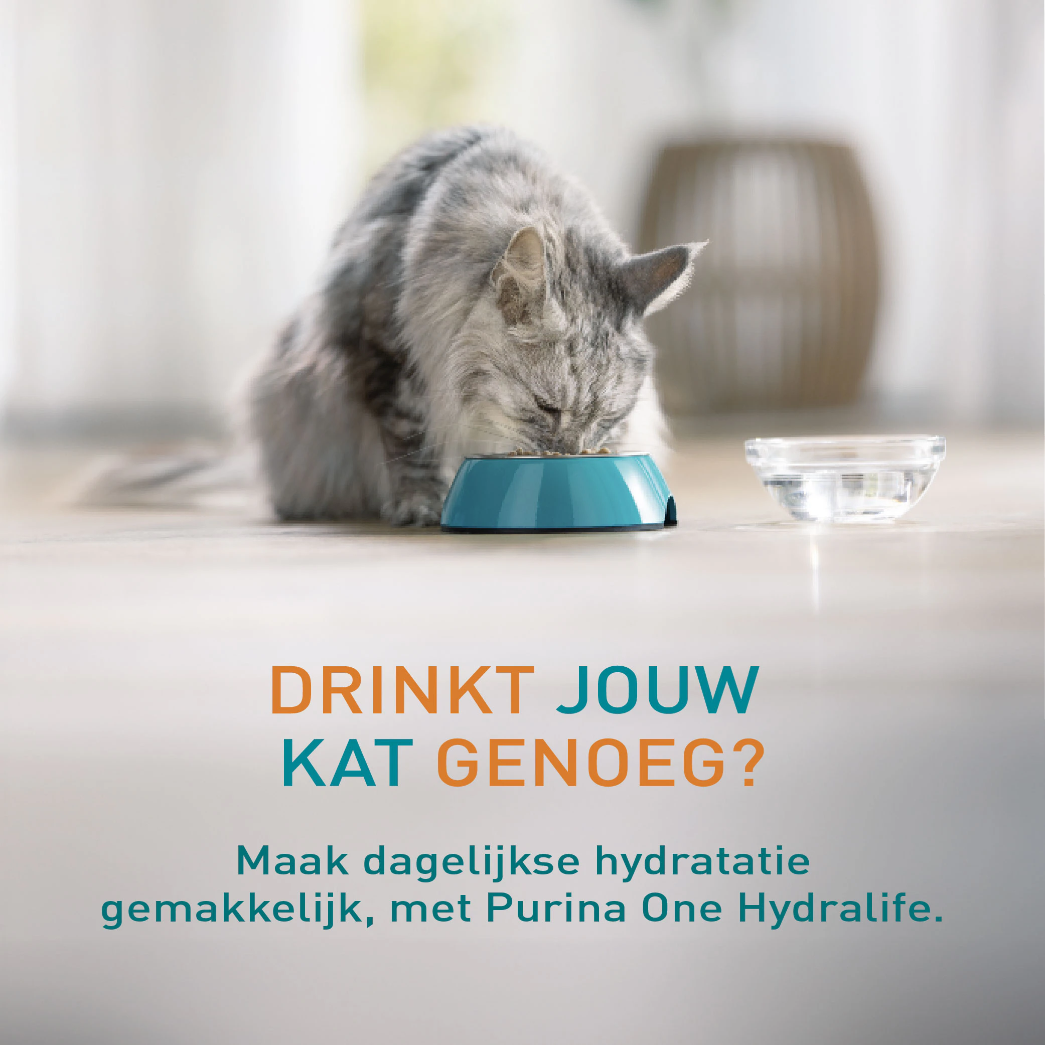 Purina ONE HydraLife - Kip - 6 x 50 g