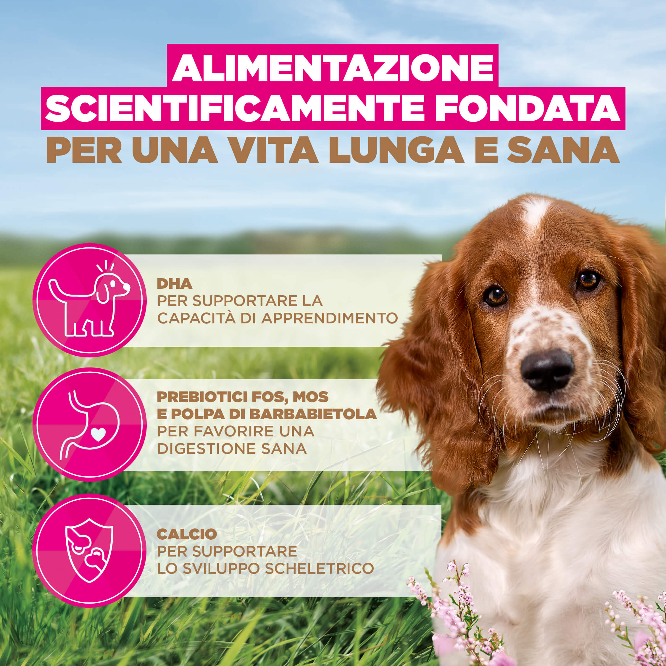 Eukanuba Dog Puppy Small/Medium Grainfree Cibo per Cani