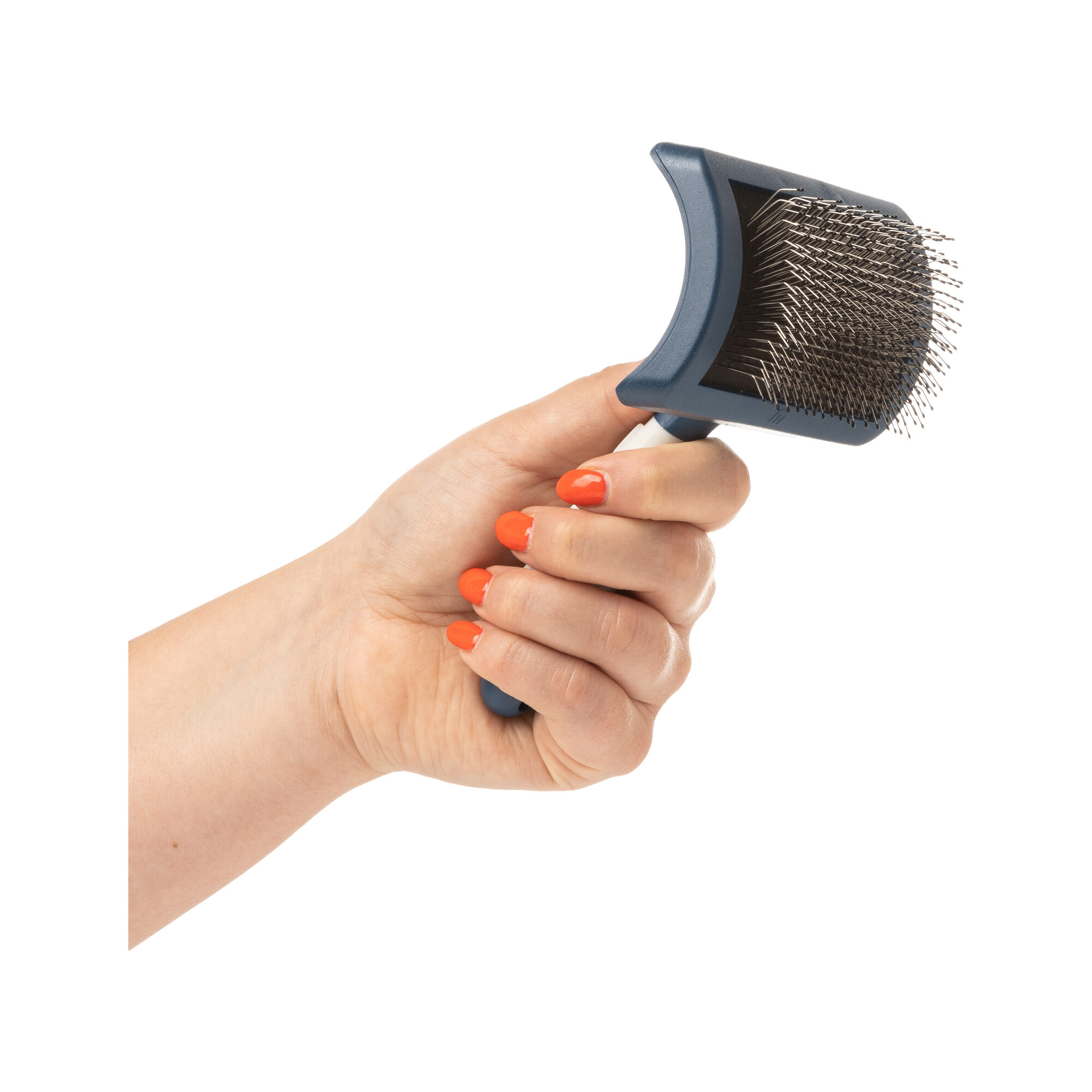 Mikki 2024 dog brush