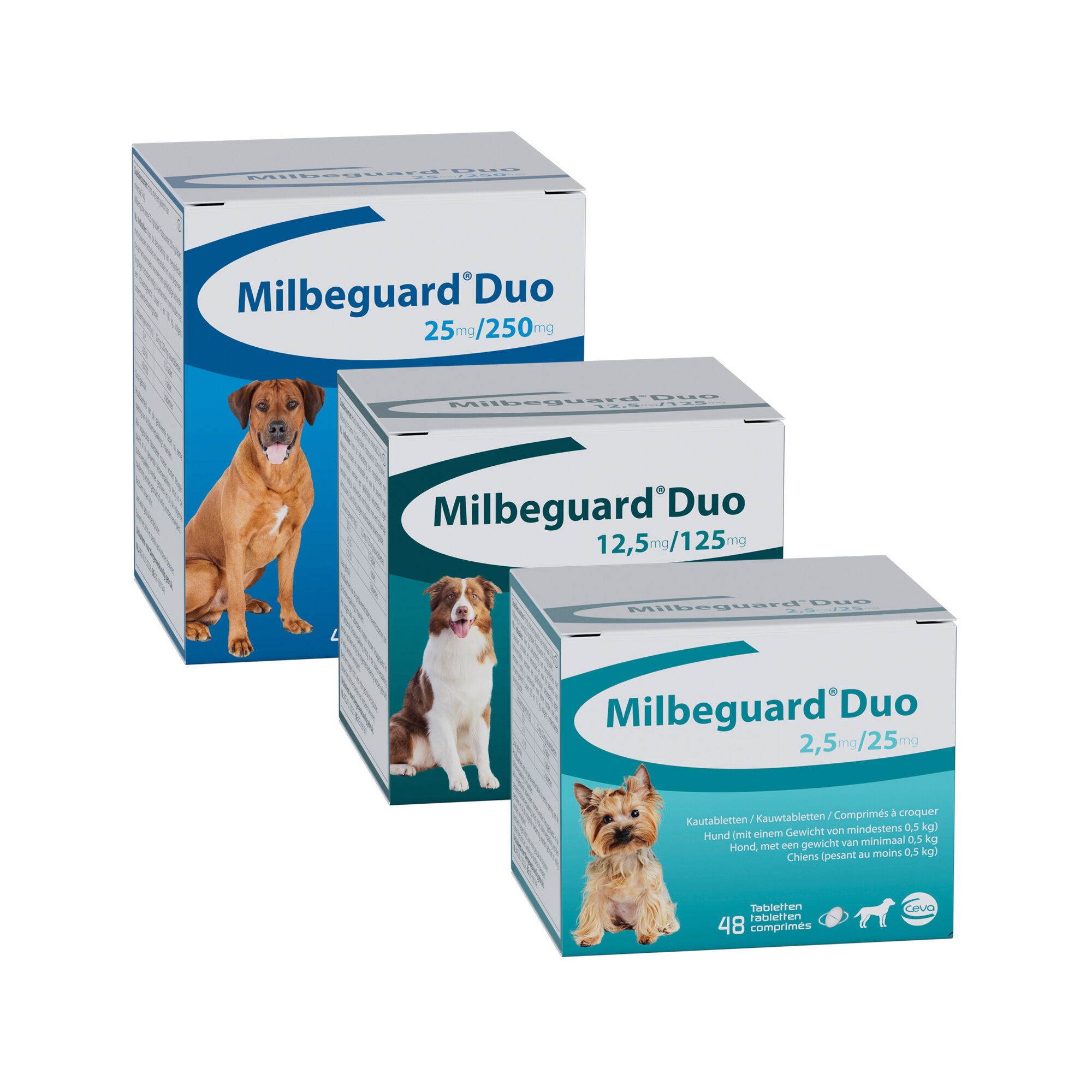 Milbeguard Chien