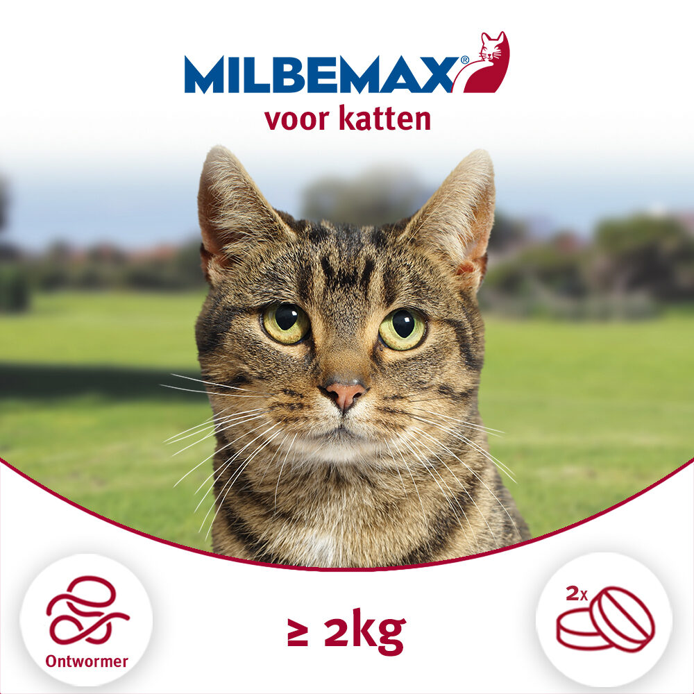 Milbemax Kat