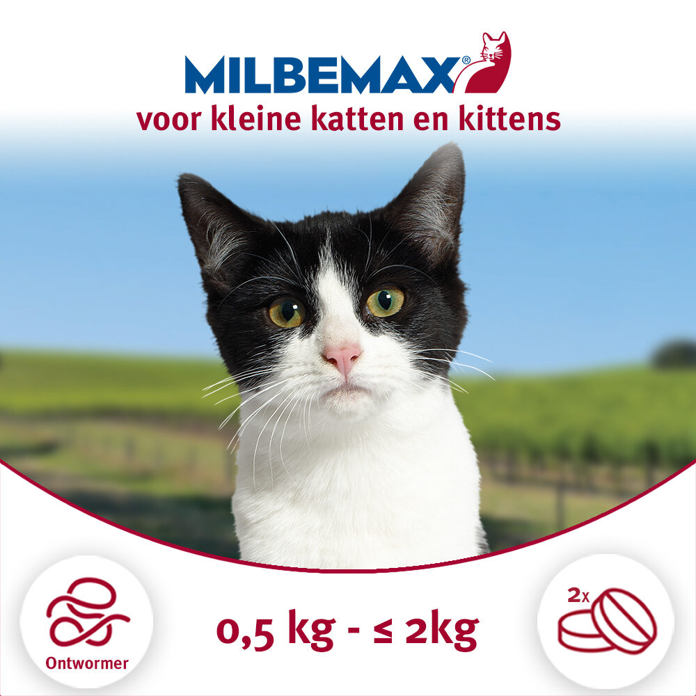 Milbemax Kat