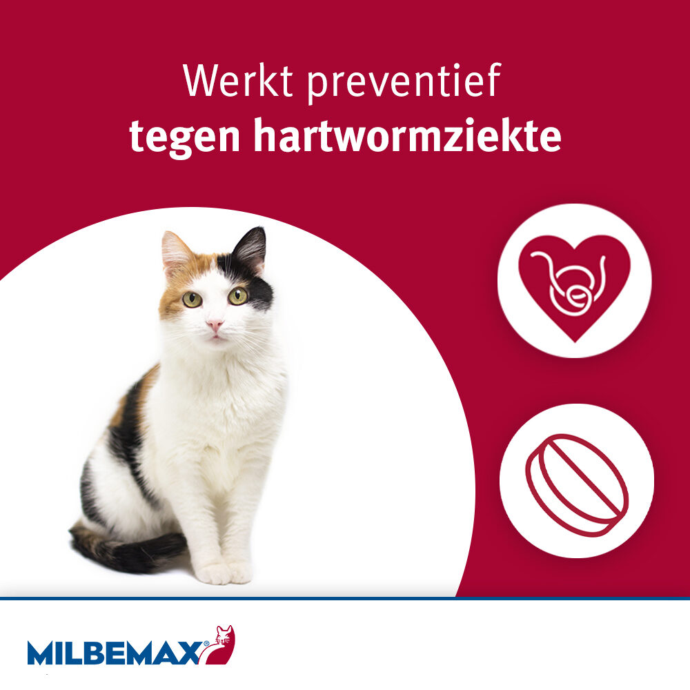 Milbemax Kat | Ontwormingstabletten | Bestellen | Medpets.Nl