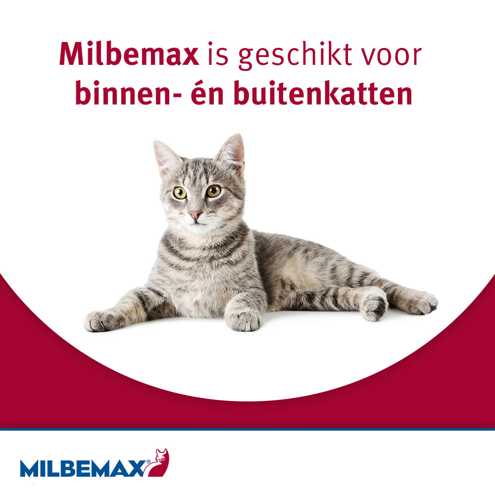 Milbemax Kat | Ontwormingstabletten | Bestellen | Medpets.Nl