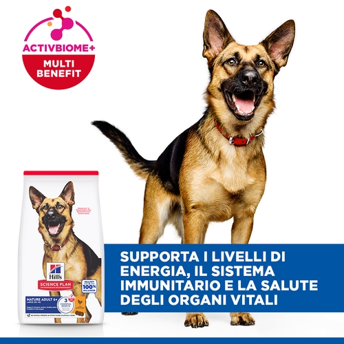 Hill's Science Plan - Large Breed - Mature Adult 6+ - Pollo