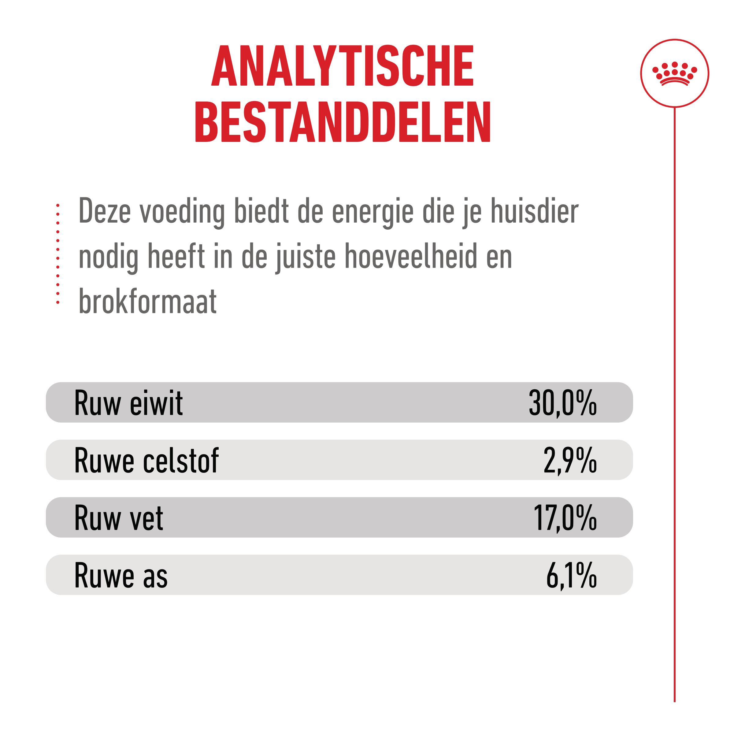 Royal Canin Ageing 11+ - Kattenvoer