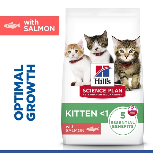 Hill's Science Plan - Kitten - Salmon