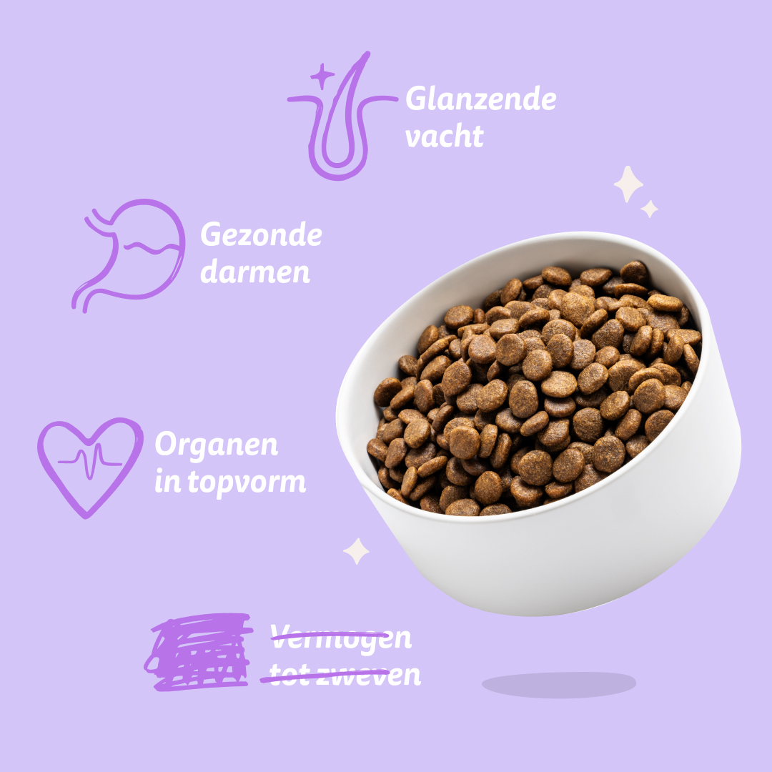 Edgard & Cooper Puppy - Zalm & Scharrelkalkoen