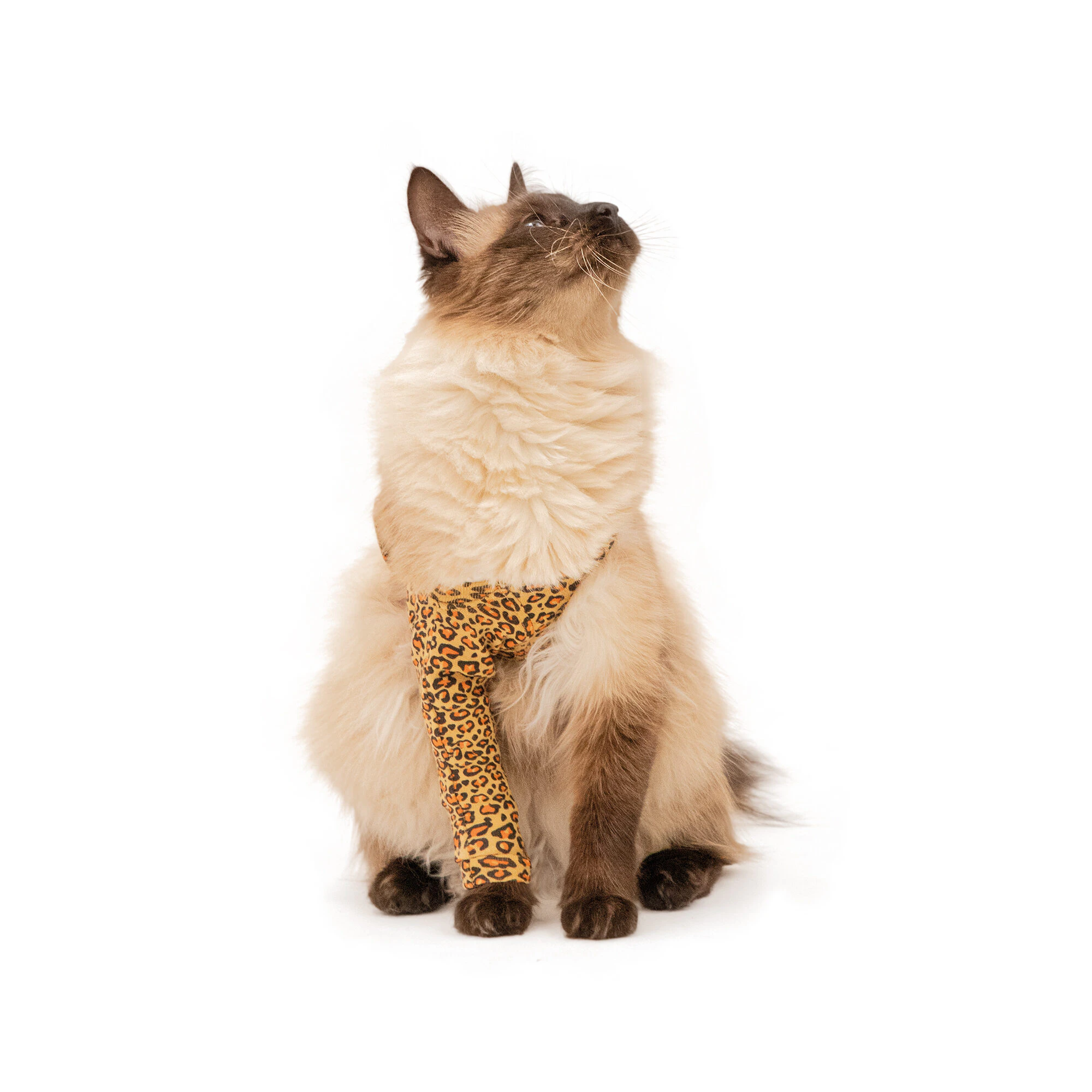 MPS Front Leg Sleeve Cat - Leopard Print - XXS