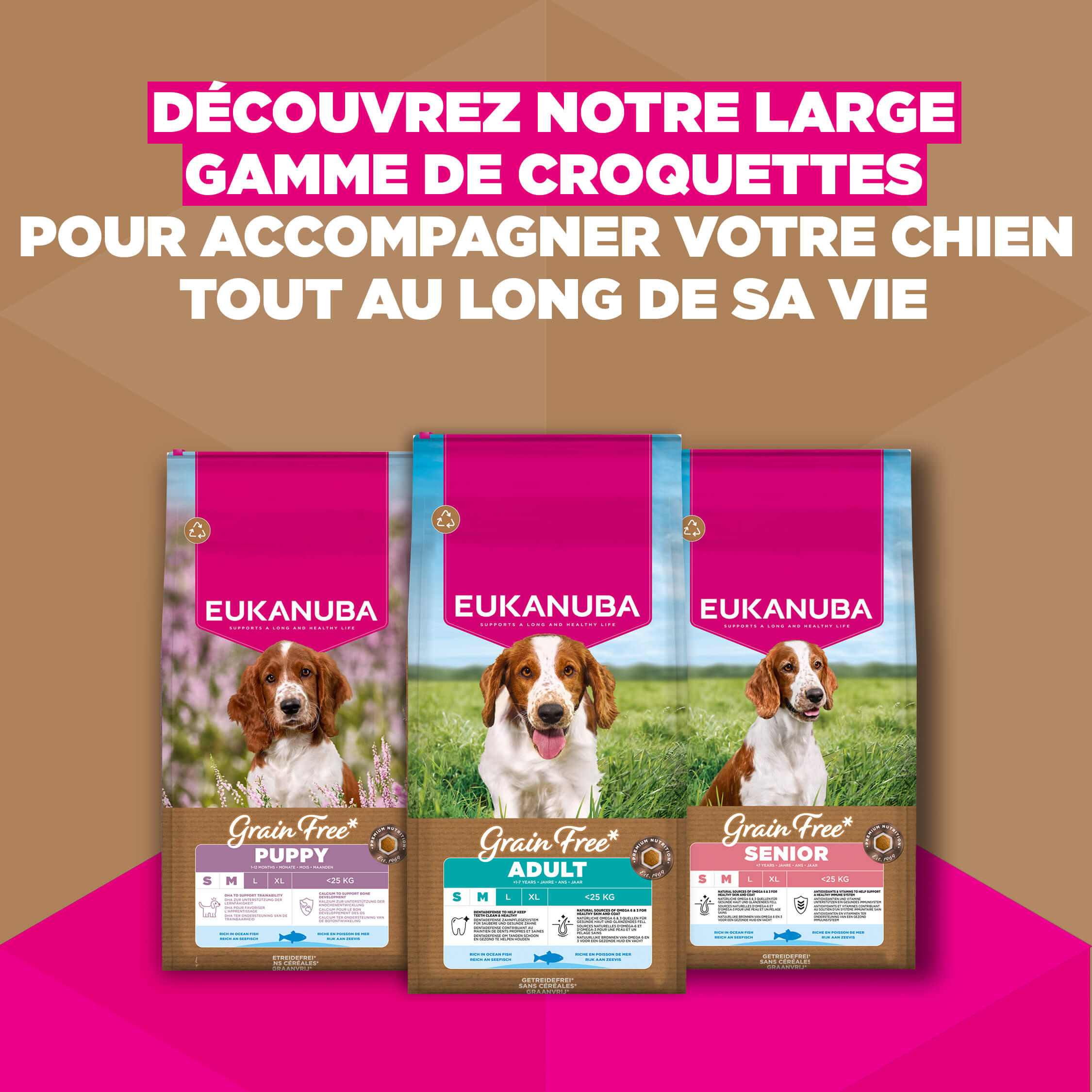 Eukanuba Dog Puppy Small/Medium Grainfree Aliment pour chien