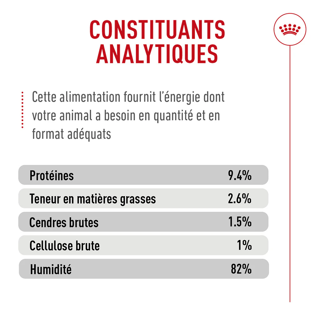 Royal Canin Appetite Control Care AirLift Mousse - Nourriture pour chat
