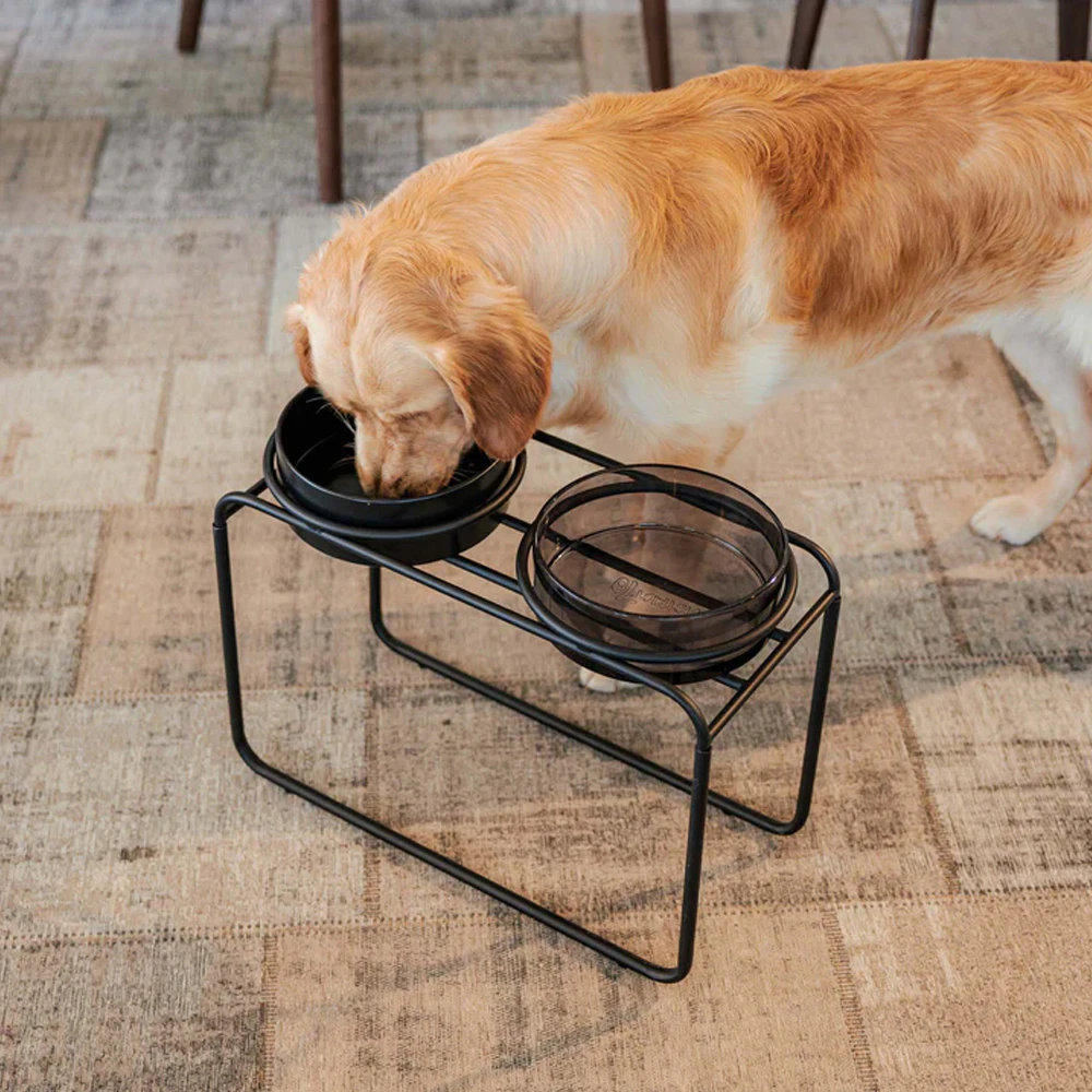 District 70 DAWN Glass Futtertrog - Hund