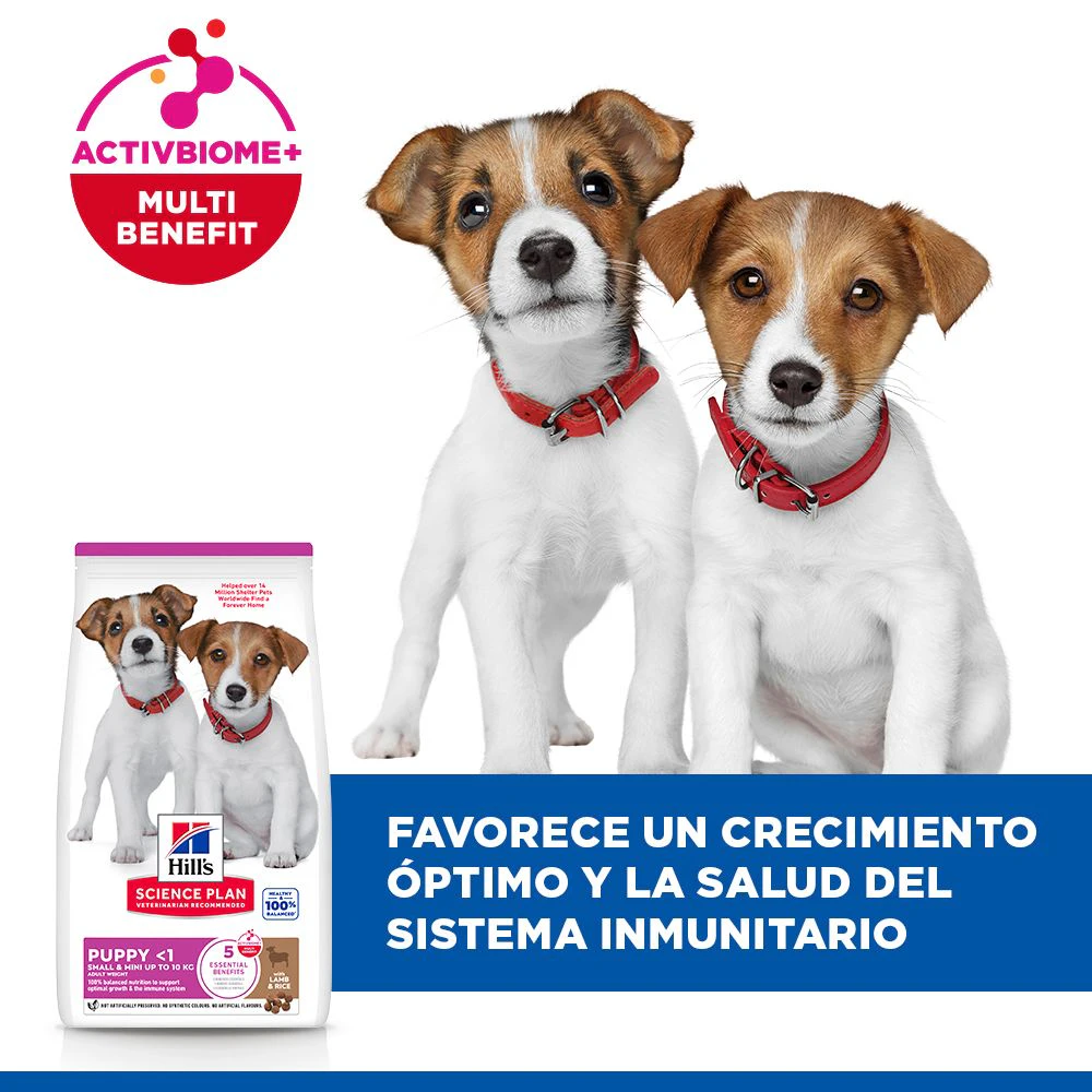 Hill's Science Plan Small & Mini - Cachorro - Cordero y Arroz