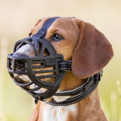 Trixie Muzzle Flex Muselière pour Chien