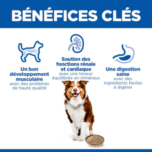 Hill's Science Plan Medium - Mature Adult 7+ - Boeuf - Boîte