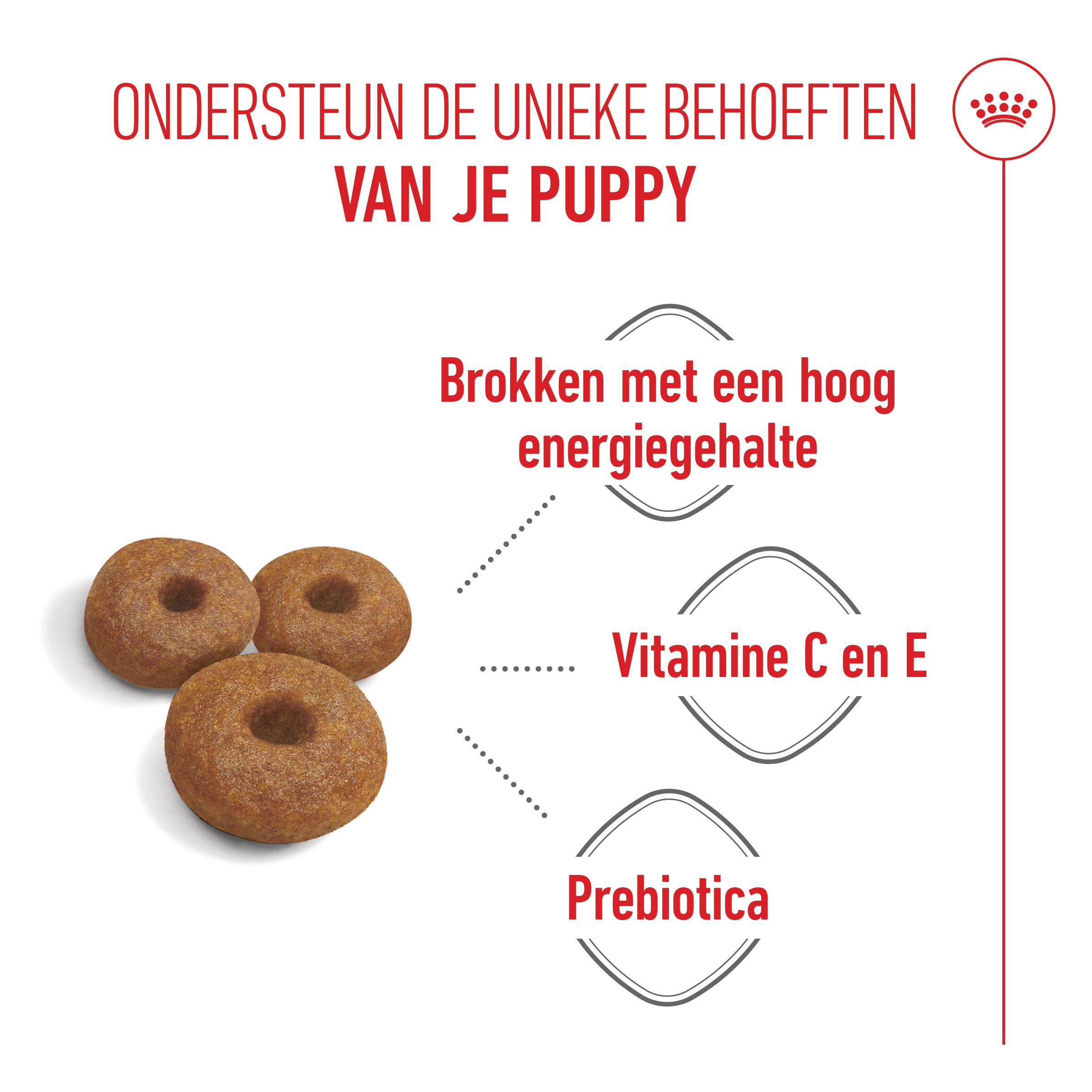 Royal Canin Maxi Starter Mother & Babydog - Hondenvoer