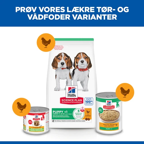 Hill's Science Plan - Puppy - Medium - Kylling