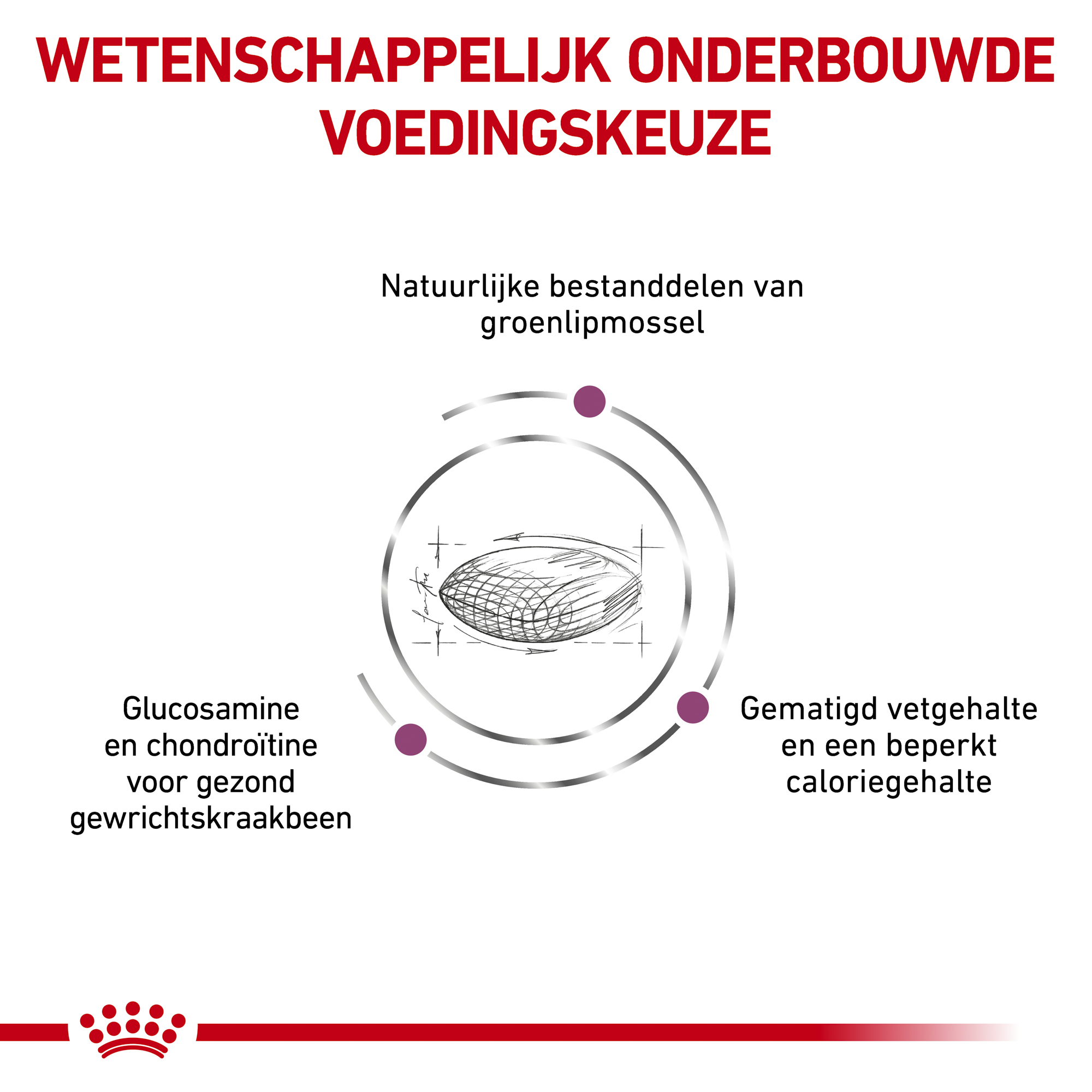 Royal Canin Mobility C2P+ Hundefutter – 7 Kg, Für Gelenkgesundheit