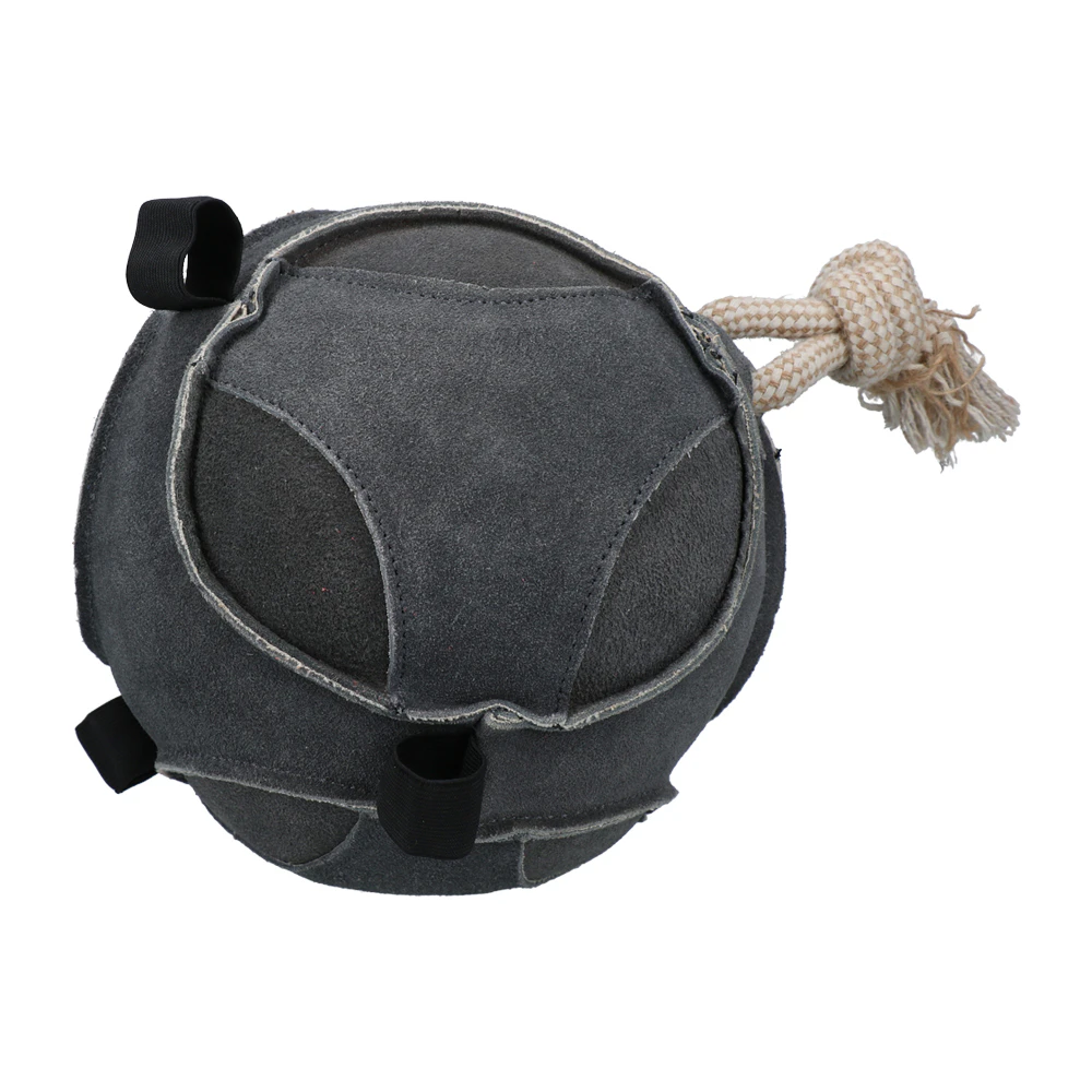 Excellent Horse Fun Play Ball