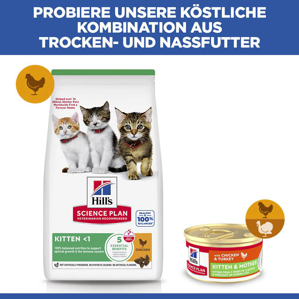 Hill's Science Plan Kätzchen und Mutter Zartes Mousse