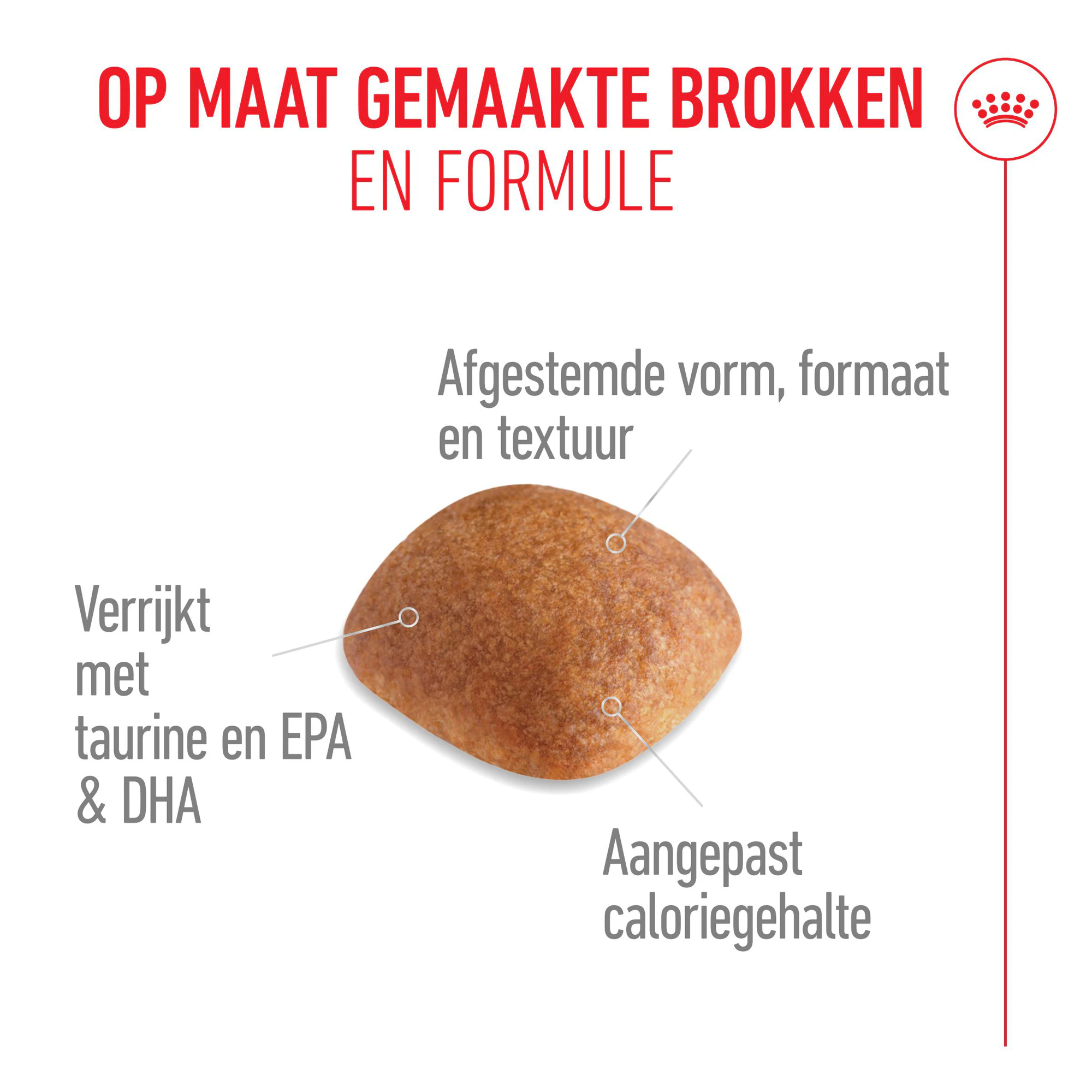 Royal Canin Golden Retriever Adult - Hondenvoer