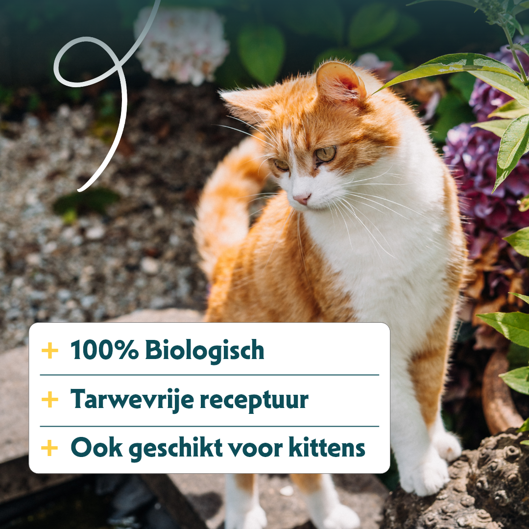 Yarrah - Droogvoer Kat Graanvrij Bio