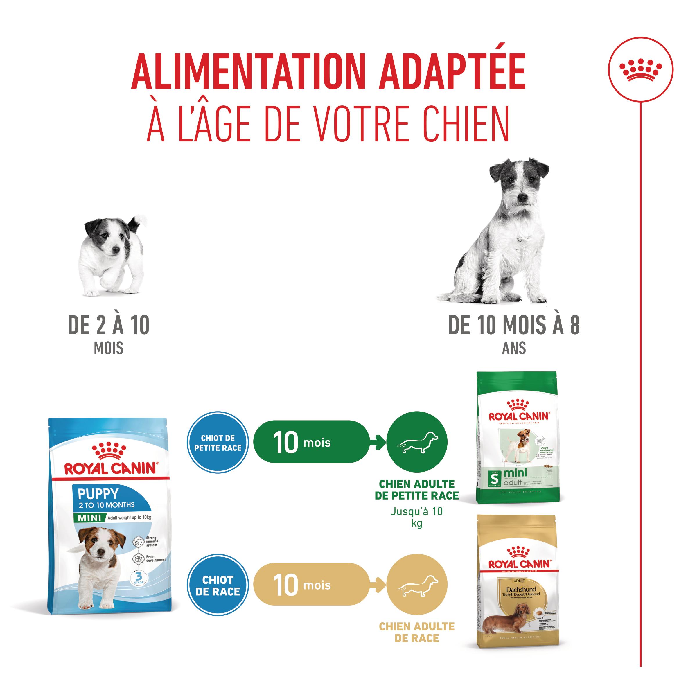 Royal Canin Mini Puppy