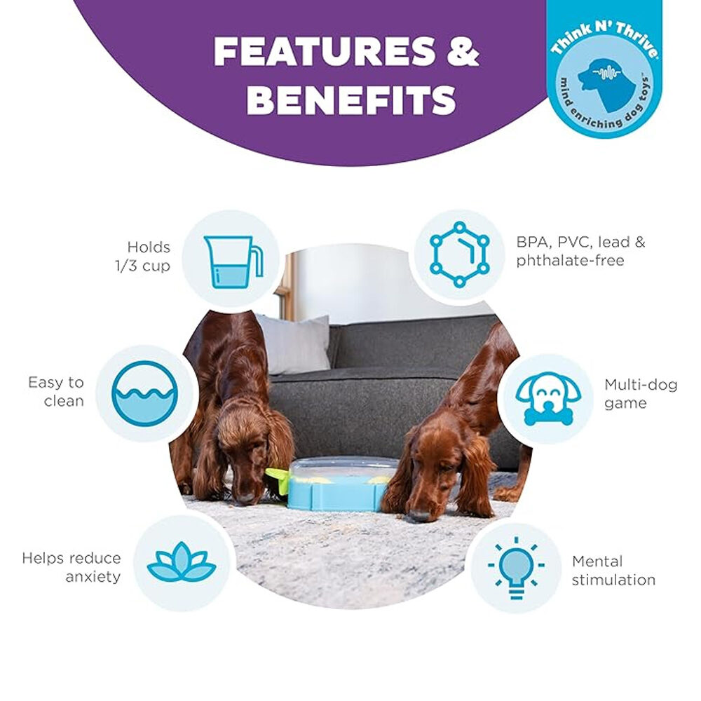 Nina Ottosson Paw N’ Play TNT