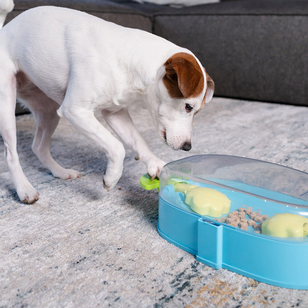 Nina Ottosson Paw N’ Play TNT